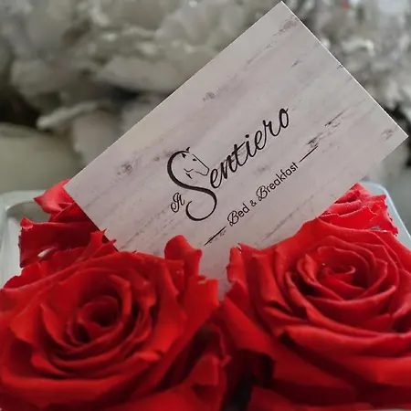 Bed and Breakfast Il Sentiero Noale