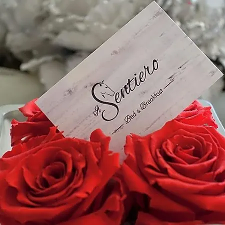 Il Sentiero B&B 노알레