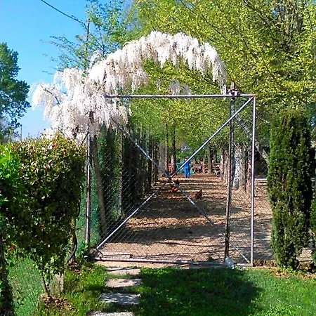 B&B Il Sentiero 노알레